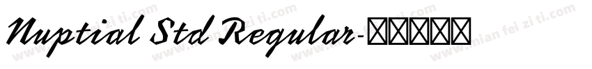 Nuptial Std Regular字体转换